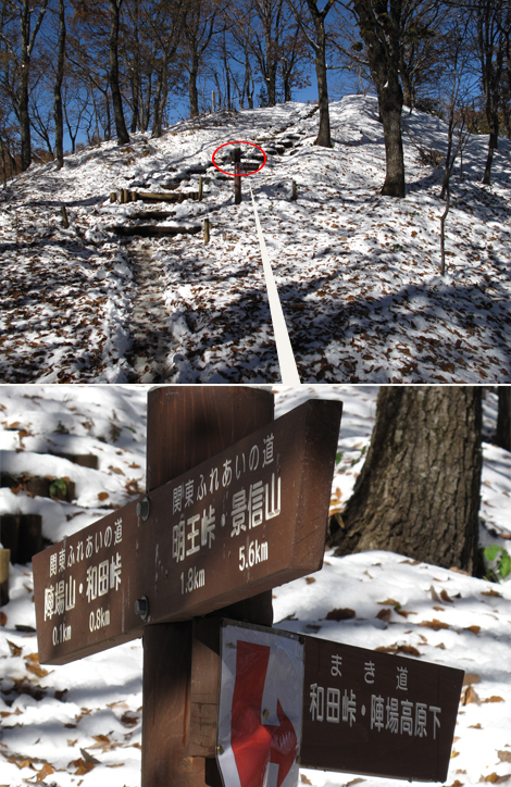 20161125hike (206)